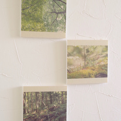 壁であそぼう 写真 アートパネル 木 森 葉っぱ 緑 4枚目の画像