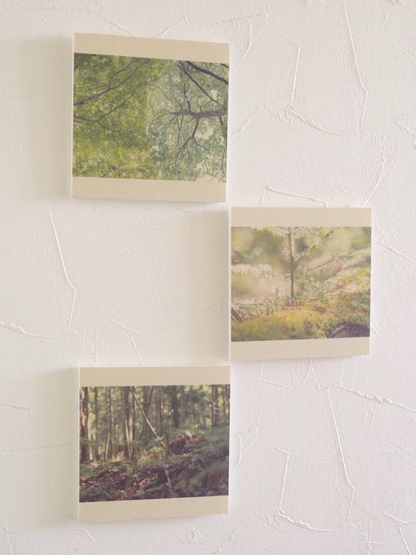 壁であそぼう 写真 アートパネル 木 森 葉っぱ 緑 4枚目の画像