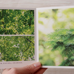 [再販] ミニフォトブック ☆ たびりすのあしあと 2020 Summer〜Autumn 写真集 葉っぱ 緑 北海道 2枚目の画像