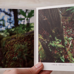 [再販] ミニフォトブック ☆ たびりすのあしあと 2020 Summer〜Autumn 写真集 葉っぱ 緑 北海道 3枚目の画像