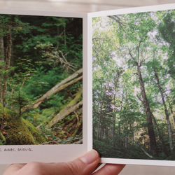 [再販] ミニフォトブック ☆ たびりすのあしあと 2020 Summer〜Autumn 写真集 葉っぱ 緑 北海道 4枚目の画像