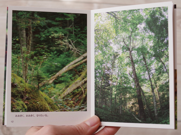[再販] ミニフォトブック ☆ たびりすのあしあと 2020 Summer〜Autumn 写真集 葉っぱ 緑 北海道 4枚目の画像