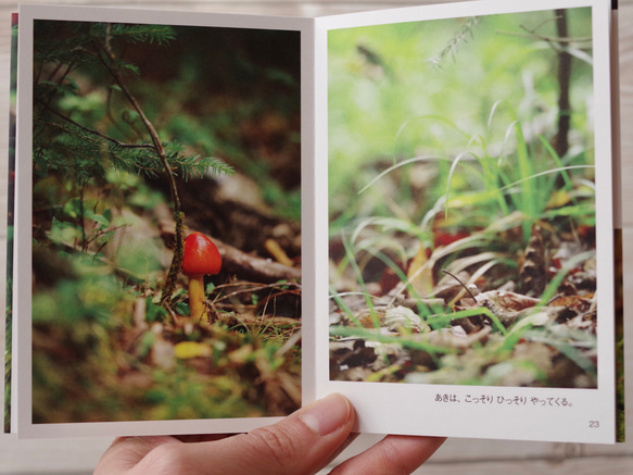 [再販] ミニフォトブック ☆ たびりすのあしあと 2020 Summer〜Autumn 写真集 葉っぱ 緑 北海道 7枚目の画像