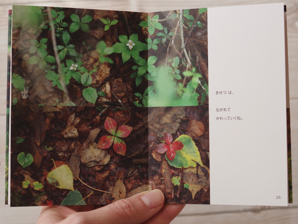 [再販] ミニフォトブック ☆ たびりすのあしあと 2020 Summer〜Autumn 写真集 葉っぱ 緑 北海道 8枚目の画像