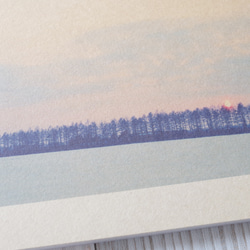 [再販] 壁であそぼう ☆ 防風林と夕陽 アートパネル 写真 夕日 自然 北海道 2枚目の画像