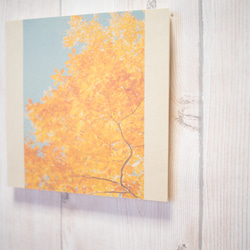 壁であそぼう 写真 アートパネル 木 森 葉っぱ 紅葉 黄色 3枚目の画像