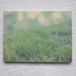 [再販] 壁であそぼうセット ★ 樹々色のたび アートパネル 写真 木 森 緑 3枚目の画像