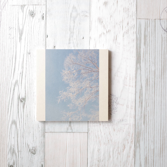 [再販] 壁であそぼう ☆ 青空と霧氷の樹 アートパネル 写真 1枚目の画像