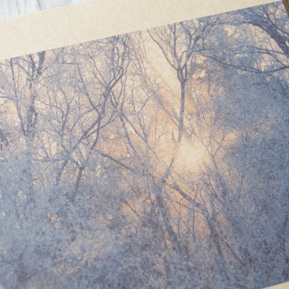 [再販] 壁であそぼう ☆ 霧氷の目覚めに アートパネル 写真 3枚目の画像