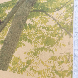 [再販] 壁であそぼう ☆ エゾリスの初夏 ☆ 北海道のたび 3枚目の画像