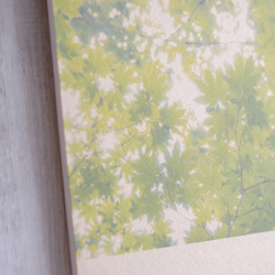 [再販] 壁であそぼう ☆ 初夏のはじまり 写真 アートパネル 葉っぱ 緑 2枚目の画像