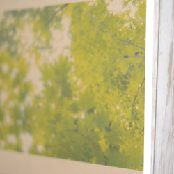 [再販] 壁であそぼう ☆ 初夏のはじまり 写真 アートパネル 葉っぱ 緑 3枚目の画像