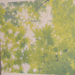 [再販] 壁であそぼう ☆ 初夏のはじまり 写真 アートパネル 葉っぱ 緑 4枚目の画像