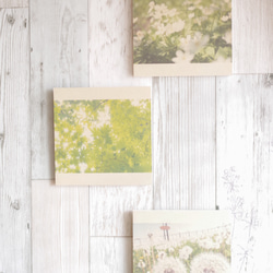 [再販] 壁であそぼう ☆ 初夏のはじまり 写真 アートパネル 葉っぱ 緑 5枚目の画像