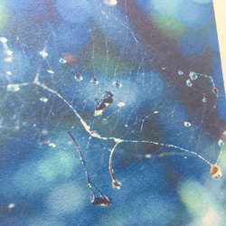 [再販] 壁であそぼう ☆ 森の小さなシャンデリア アートパネル 写真 青 雨 水 4枚目の画像