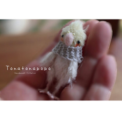 【受注製作】ミニマムオカメインコちゃん 5.5㎝ テディベア 10枚目の画像