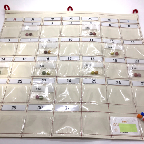 一目でわかるお薬管理 お薬カレンダー1ヶ月用 日付曜日取り外し