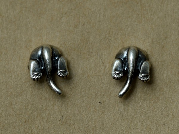 頭隠して尻隠せてない猫ピアス