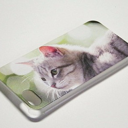 写真猫スマホカバーケース【Garden Cat ～緑の中で～】(PH001-1) 3枚目の画像