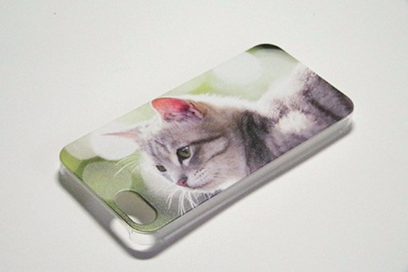 写真猫スマホカバーケース【Garden Cat ～緑の中で～】(PH001-1) 3枚目の画像