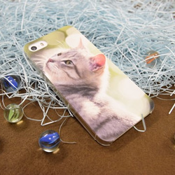 写真猫スマホカバーケース【Garden Cat ～緑の中で～】(PH001-1) 4枚目の画像