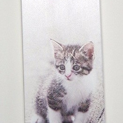 写真猫スマホケースカバー【道端でたたずむ子猫】(PH006-1) 2枚目の画像