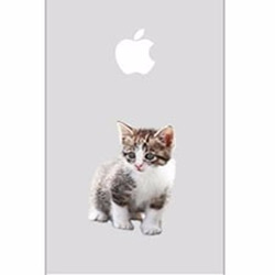 写真猫[透明]スマホケース【道端でたたずむ子猫】(PH006-T) 2枚目の画像