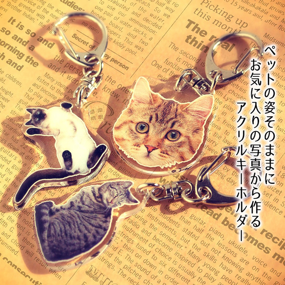 7000個突破✨日本製 愛犬♥ 愛猫♥ペットの写真で作るアクリルキーホルダー 日本製 made in JAPAN 2枚目の画像