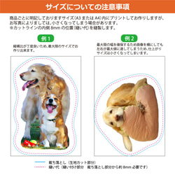 うちの子クッション手編み花モチーフ付き（綿100%厚手生地使用）ぬいぐるみ　犬　猫　うさぎ　ペットメモリアル 5枚目の画像