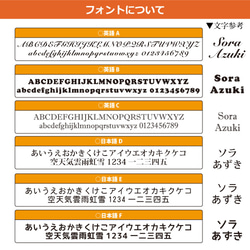 厚手 ペットクッション　スクエアタイプ（正方形30cm角）　オーダーメイド　うちの子クッション 6枚目の画像