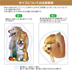日本製 ペットクッション（ビッグサイズ） うちの子クッション ぬいぐるみ　オーダーメイド 4枚目の画像