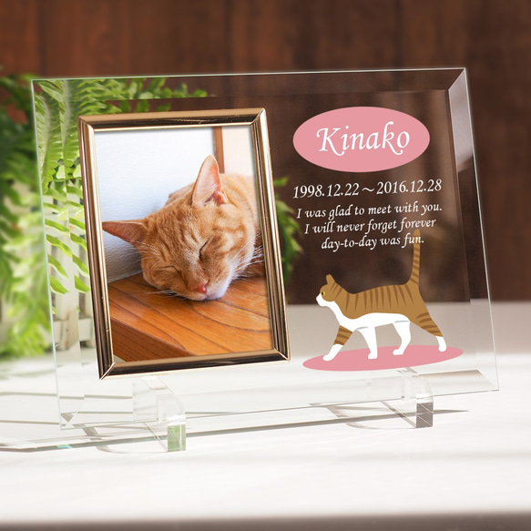 猫のイラスト ガラスフォトフレーム 名入れ メッセージ入れ対応 2枚目の画像