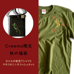 数量限定4点☆秋の福袋　カエルの秋色Tシャツとヤモリのミニサコッシュセット 1枚目の画像