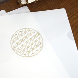 クリアホルダー4枚セット - Flower of life 金箔押し 2枚目の画像