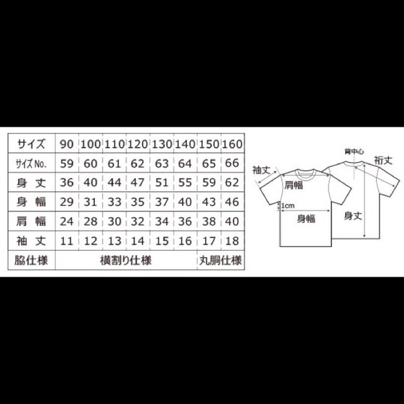  第6張的照片