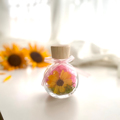 ひまわりジニアのフラワーボトル♡ ハーバリウム・植物標本 yulia 通販  