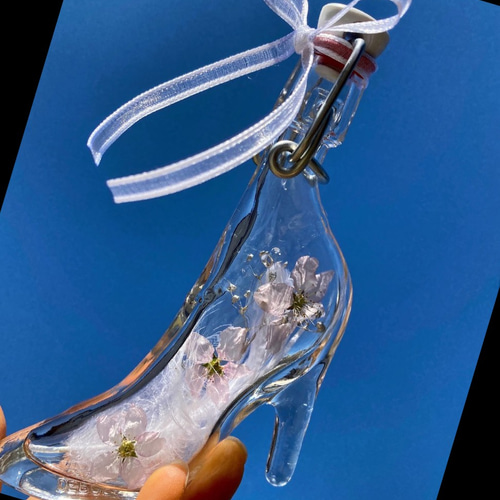 桜春色シンデレラシュー♡♡フラワーボトル♪ ハーバリウム・植物標本  