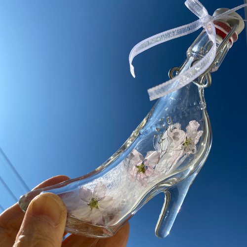 桜春色シンデレラシュー♡♡フラワーボトル♪ ハーバリウム・植物標本  