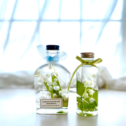 爽やかスズランのハーバリウム♪ ハーバリウム・植物標本 yulia 通販