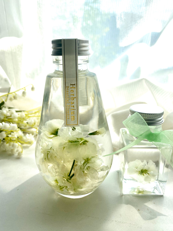 母の日♡ストックのハーバリウム♪ ハーバリウム・植物標本 yulia 通販  