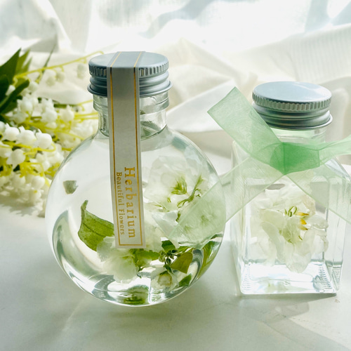 母の日ギフト♡ストックのハーバリウム♪ ハーバリウム・植物標本  