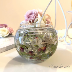 ジェルキャンドルホルダー 1枚目の画像