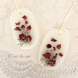 アロマワックスサシェ 1枚目の画像