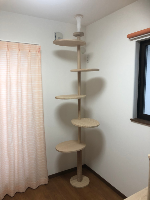 タモ猫 タキシード猫 02SB – JEKCA-SHOP