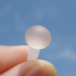 玻璃雲“ Fuwari [Sakura]”耳機插孔[大小可選] [定做] 第3張的照片