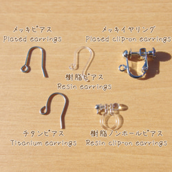 雪玻璃「Yuki [Miyuki]」耳環/耳環 [可選擇金屬配件] [客製] ≪免運費≫ 第5張的照片