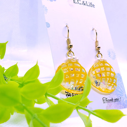 切り絵メロンパンのピアス/イヤリング 7枚目の画像