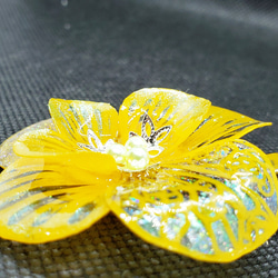 大自然と共に生きる生命の花[ブローチ] 3枚目の画像