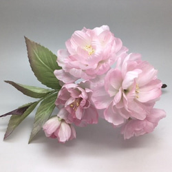 布bana＊八重桜　『A様ご予約品』 1枚目の画像