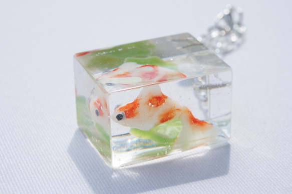 手毬 てまり 金魚 辿 訳あり 50